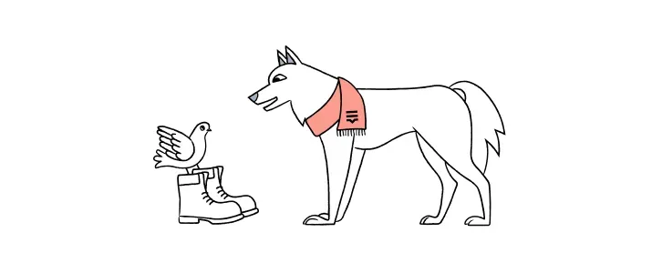 5181-Frame 1000002252.webp