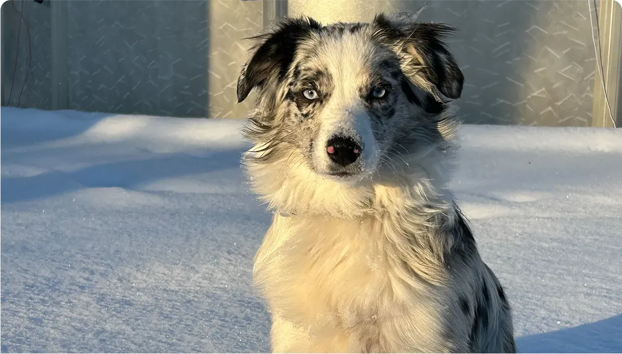 5192-IMG_8817 1.webp